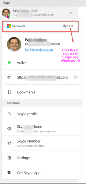 Sign Out Skype App Windows 10
