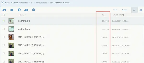 Idrive File Details Size